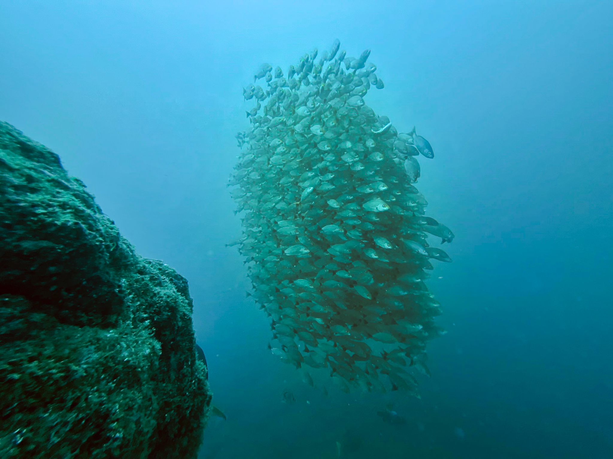 scuba diver entering water