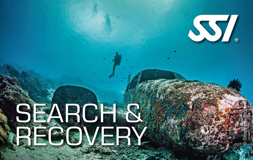 search and recovery ssi