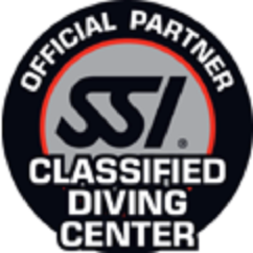 classified diving